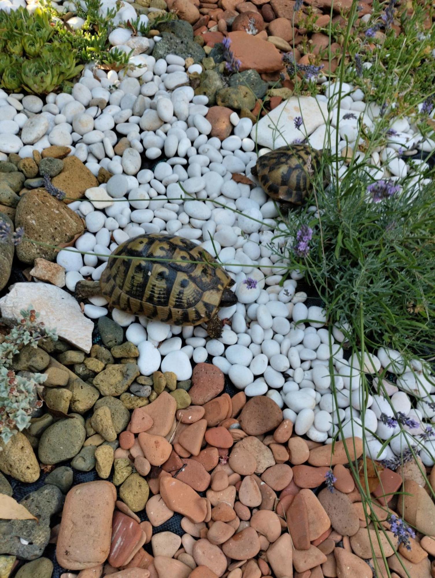 Miran Daire Ivanica Dış mekan fotoğraf